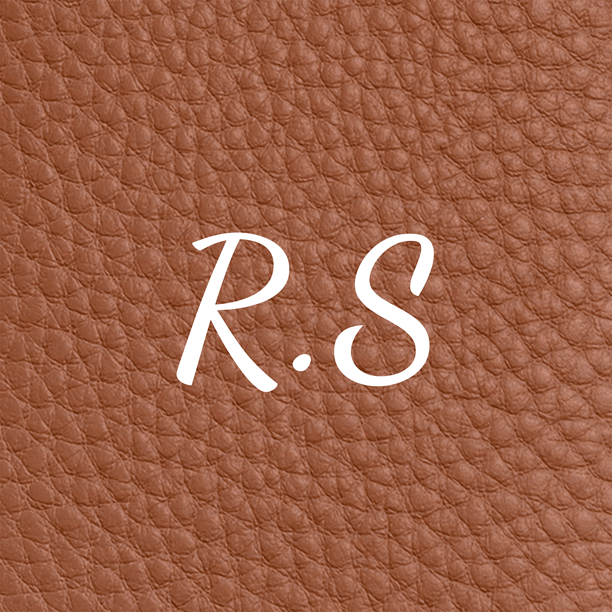 Large Vanity Cosmetic Bag (Tan)