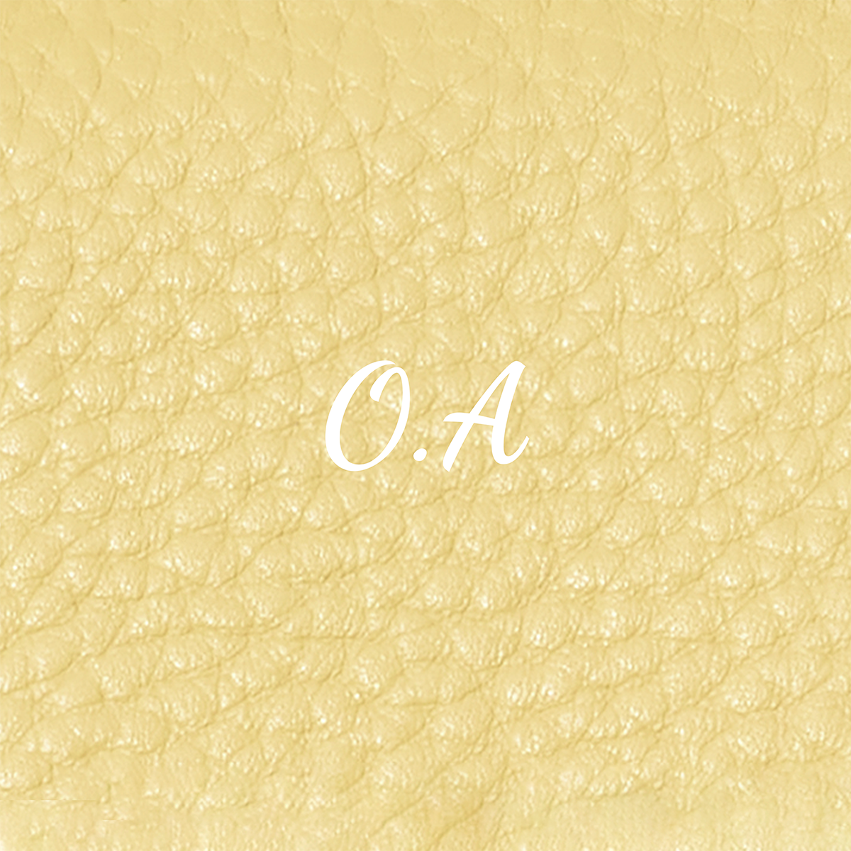 Small Vanity Cosmetic Bag (Butter Yellow)