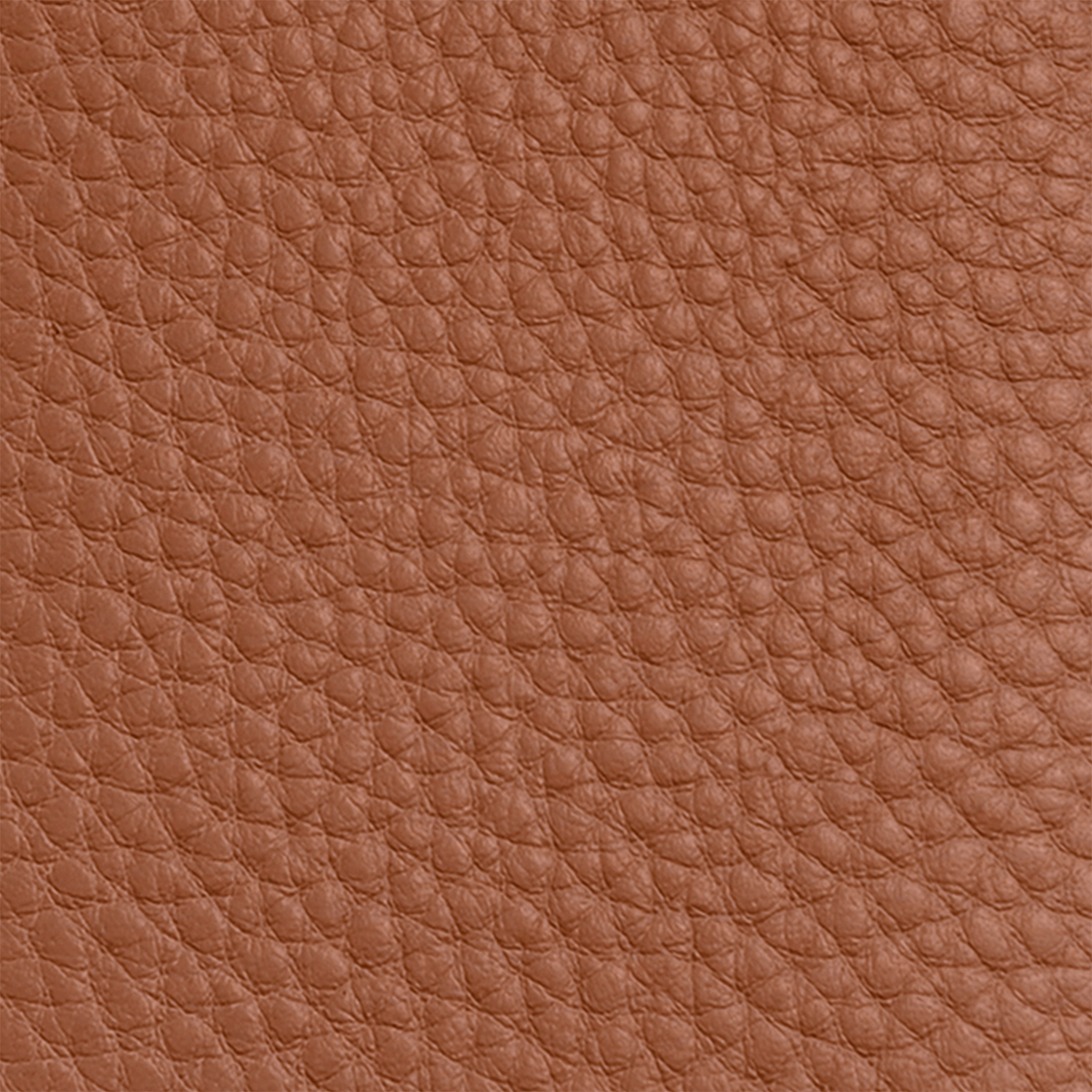 Leather Luggage Tag (Tan)